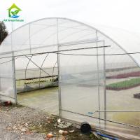China Polycarbonate Poly Tunnel Greenhouse Edible Mushroom Industrial Hemp Greenhouse on sale