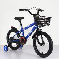 China Simple Frame Lightweight Kids Bike With Plastic Mudguard Single Speed on sale