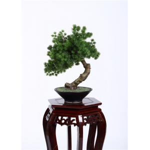 Botanical Mix Decorative Pine Trees , 40cm Faux Bonsai Tree Nature Inspired