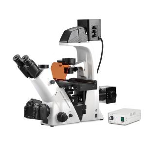 Trinocular Inverted Biological Microscope Epi Fluorescence Biological Phase Contrast Microscope