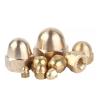 Premium M12 & M20 Brass Dome Cap Nuts Metal Fastening Offered in Sizes T1 T2 T3