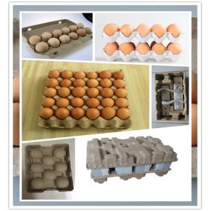 China Recycling Waste Paper Egg Tray Machine / Reciprocating Egg Paper Tray Machine supplier