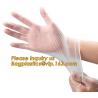 Medical Exam Use Disposable Powder Free Vinyl Gloves/Non Latex Vinyl Gloves/PVC