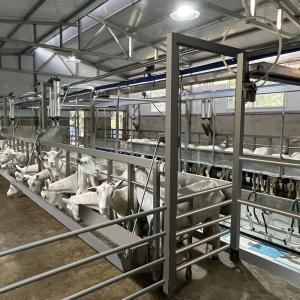 Farms Dairy High Productivity Milking Parlor Equipment Flexible Goat Milking Parlor