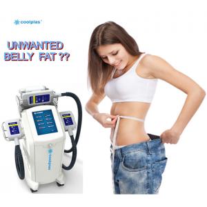 China  Fat Freeze Slimming Machine For Body Sculpture / Weight Reduction supplier
