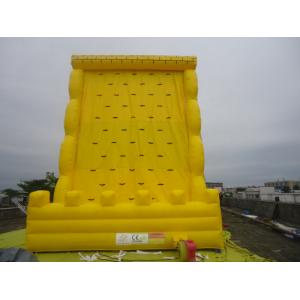 China Funny Giant Inflatable Sports Games / Climbing Wall For Amusement Park Equipment For Family supplier