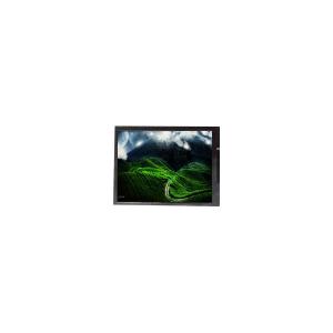 China AUO Modulo de pantalla TFT-LCD DE101IA-07P 10.1 pulgadas panel de pantalla de LCD wholesale