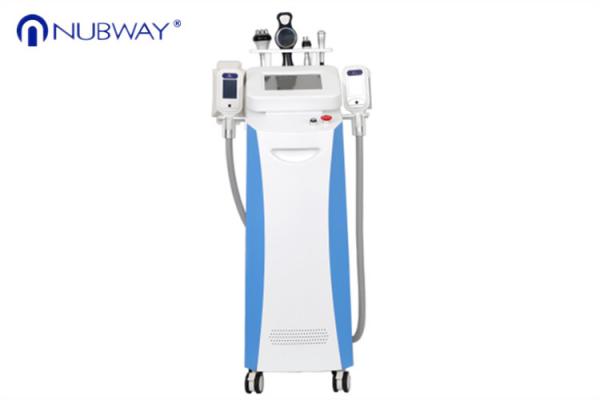 Bottom price best effective cavitation rf vertical cryolipolysis fat freeze