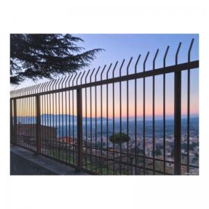 China Metal Frame Outdoor Yard Decorative Wrought Iron Houses Gates and Fence Railing Panels supplier