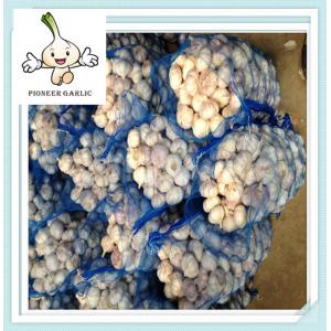 China good quality of 5.0cm New Fresh White Garlic for wholesale market price