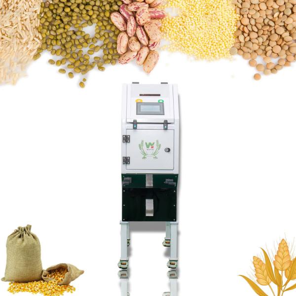 Mini Macadamia Nut Color Sorter Machine With CKD Air Filter And YSC Cylinder