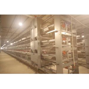 China 3 Tier 129 Female Chicken Breeding Cages , 3 Floors Metal Bird Breeding Cages supplier