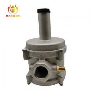 Home / Industry Natural Gas Adjustable Gas Regulator With Filter Gas Relief Valve