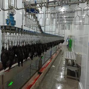 1500KG Poultry Slaughtering Equipment SS 304 Poultry Meat Processing Equipment
