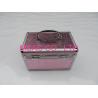 China Small Aluminum Cosmetic Train Cases With Butterfly Stylish wholesale