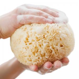 Natural Children Sponge For Bath Massage Hypoallergenic Unscented