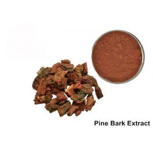 Anti Aging OPC Pine Bark Extract Powder For Cosmetics