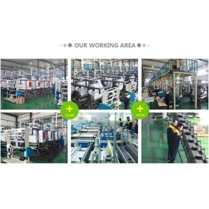 China Biodegradable & Compostable Transparent Poly Flat Bags On Roll With Paper Core For Supermarket, Food Waste Caddy Liner wholesale