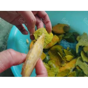 China La chaîne de fabrication 2000T/Day de mangue de 316 SUS fruit ligne de transformation wholesale