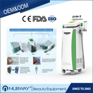 China Máquina esculpindo fresca do emagrecimento de Cryolipolysis resultado poderoso multifuncional de 5 cabeças do melhor supplier