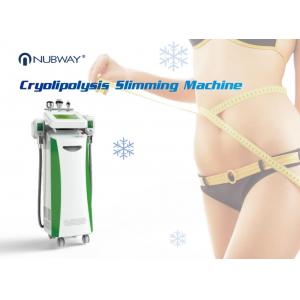 Body Cryotherapy Fat Freeze Cryolipolysis Slimming Machine For Whole Body Slimming Treatment