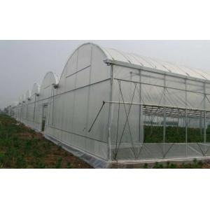 China 100 Micron PE Film Greenhouse Single Layer Plastic Tunnel Greenhouse supplier