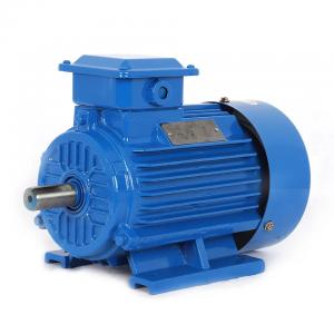 China 2 Hp Single Phase And 3 Phase Induction Motor Ac Or Dc Brushless Asynchronous Motor supplier