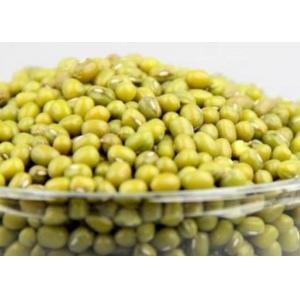 Dried Natural  Green Mung Bean  Agricultural Products