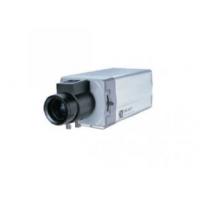 Standard CCTV IP Cameras CX-J0220