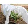 Tear Resistant PP Spunbond Nonwoven Fabric / Vegetable Garden Weed Control