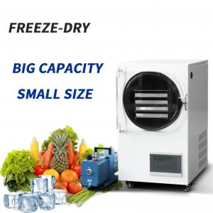 Freezed Dryer Vacuum Machines Industrial Coffee Mushroom Food Lyofilizing