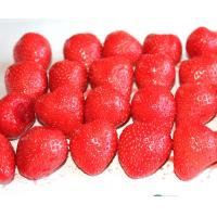 China Strawberry Organic Canned Fruit Naturally Sweet Flavor 2 YEARS Shelf Life on sale