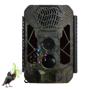 China HB561 Outdoor Trail Camera Infrared Night Vision 1080P Hunting Cameras supplier