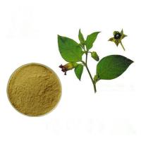 Whole Herb Plant Extract Powder Atropa Belladonna Extract 80 Mesh Brown Yellow Color