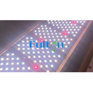 800W Full Spectrum Greenhouse LED Grow Lights With UV And IR Cannabis