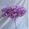 Anna Hydrangea Preserved Flower Dried Flower Artificial Hydrangea Home Decoration DIY Craft Material Wholesale Single Hydrangea