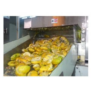 Mango Pineapple Juice Fruit Production Line with Minimal 500L/H Capacity