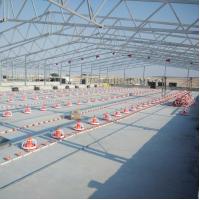 China Interlocking Broiler Floor System for Easy Installation High Pressure Cleaning Standard on sale