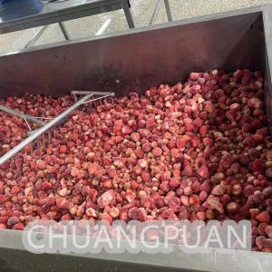 China Strawberry Jam Manufacturing Machine 304 Stainless Steel 1-20 TPH supplier