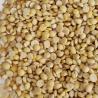 China ISO HACCP Certificate Mung Bean Powder Yellowish with 85% Protein wholesale
