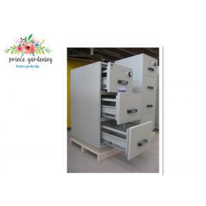 China Antimagnetic / Dust Industrial Safety Cabinets Fireproof File Cabinet supplier