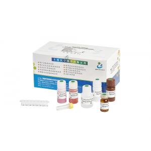 BRED-006 Male Fertility Test Kit ELISA Method For PMN Elastase Level In Seminal Plasma