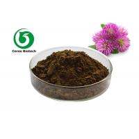 China Fine Red Clover Extract Isoflavones 20% 40% Healthy Herbal Extract Anti Spasm on sale