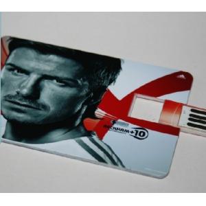 China Plastic Credit Card USB Flash Drive, Popular USB Business Card With Logo Printing supplier