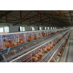 China Q235 Hot Dipped Galvanized H Type Layer Chicken Cage For Farm supplier