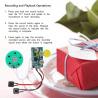 Recordable Voice Module DIY Greeting Card Chip 4 Minutes Sound Chip Module