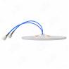 China CDMA LTE-M NBIOT DAS Distributed Antenna Vertical Polarization Mimo Ceiling Antenna wholesale