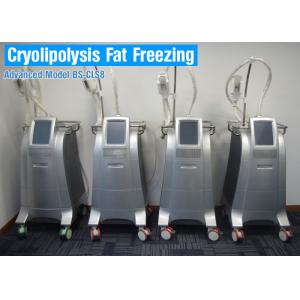 CoolSculpting Cryolipolysis Body Slimming Machine / Fat Reduction Equipment Painless