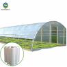 China 0.5KN/M2 Clear Polythene Single Tunnel Greenhouse wholesale