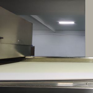 China Advanced Medium Resolution Image Recognition Chlli Pepper Color Sorter with 304 Stainless Steel Body wholesale